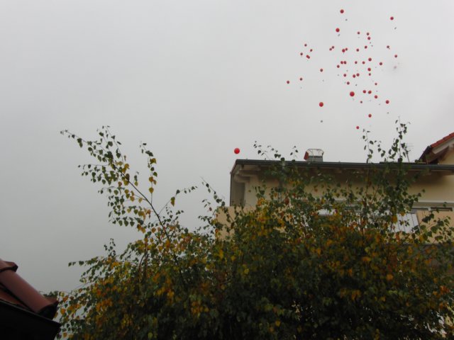 cimg2535.jpg